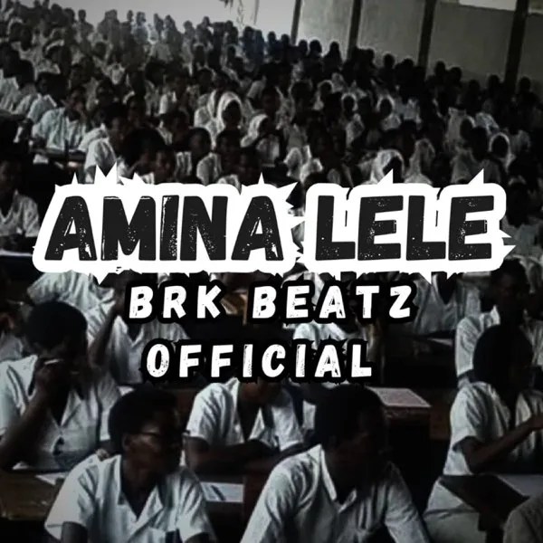 Brk Beatz Ft. El Bienfaiteur - Amina Lele